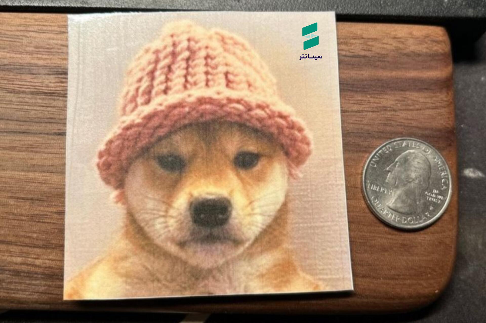 آینده ارز داگ ویف هت Wif و پیش بینی قیمت آن